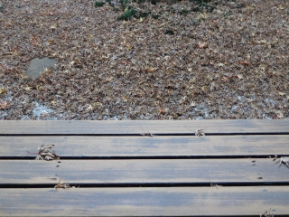 Dsc00671