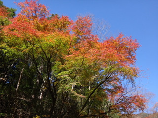 Dsc00249_2