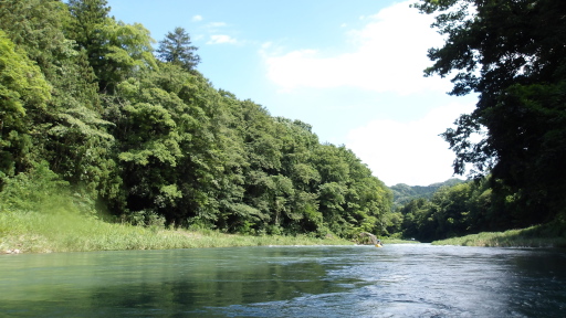 神代橋の下流