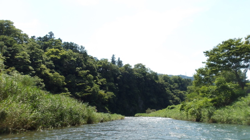 ブリヂストン奥多摩園のあたり