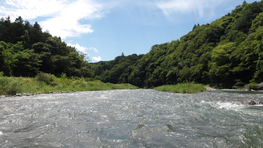 和田橋下流