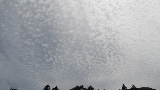 放水口の空