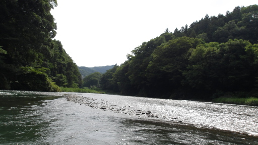 和田橋下流