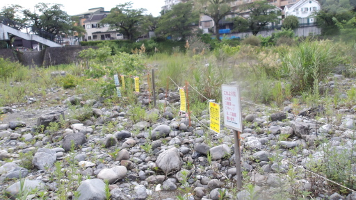 柳淵橋下の結界