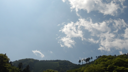 放水口の空