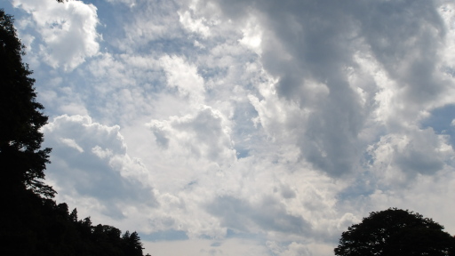 和田橋の下流の空