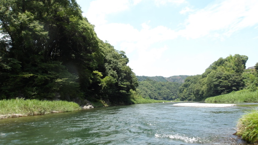 和田橋の下流