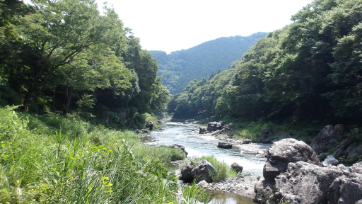 消防の瀬の辺りから御岳橋の方