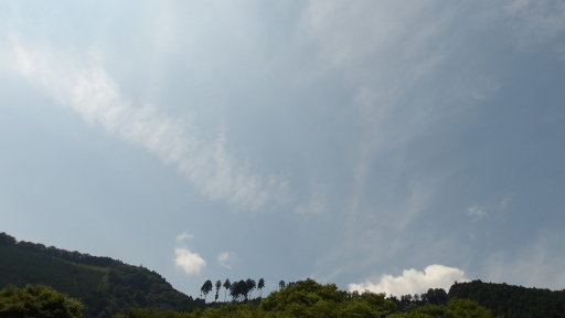 放水口の空