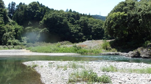 「おくたま路」の対岸