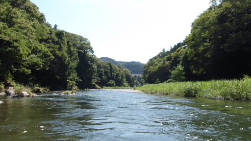 和田橋の下流