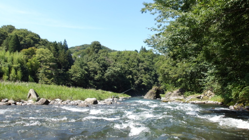 和田橋の下流