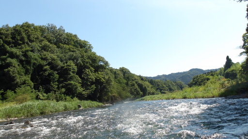 和田橋の下流