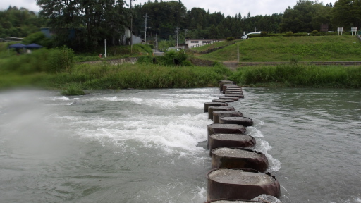 荒川総合運動公園の仮設橋