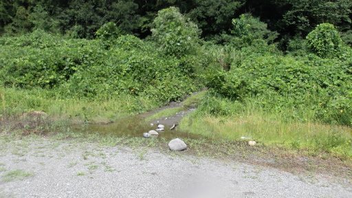 駅に続く道の入り口