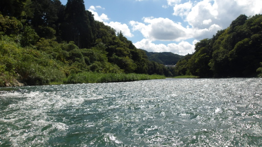 和田橋の下流