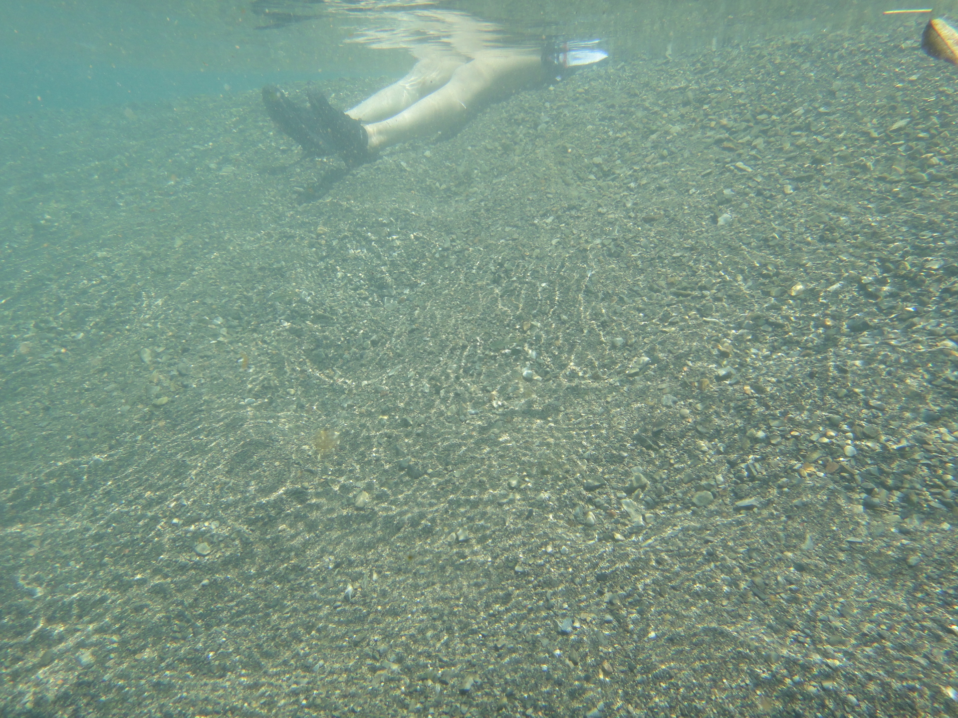 2011海部川