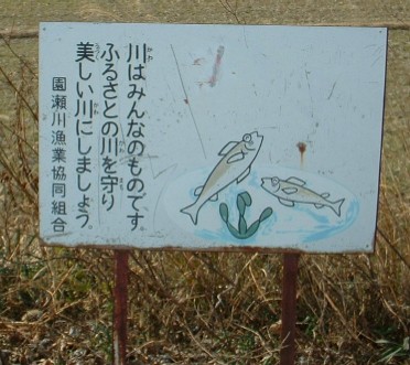 sonose