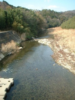 sonose