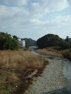 sonose