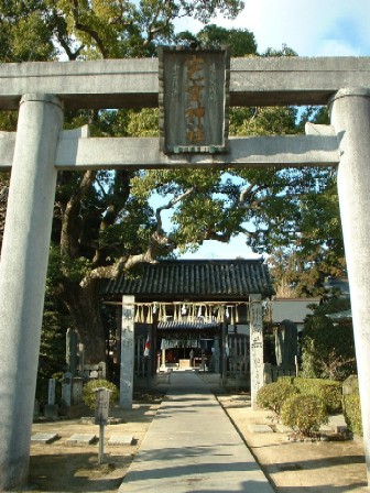 sonose