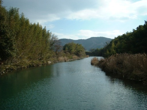 sonose