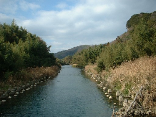 sonose