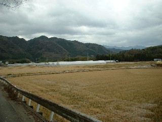 sonose